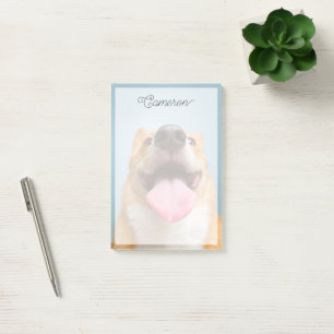 Cutest Baby Animals   Corgi Tongue Post-it Notes