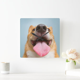 Cutest Baby Animals Corgi Tongue Square Wall Clock