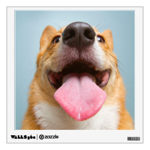Cutest Baby Animals Corgi Tongue Wall Decal