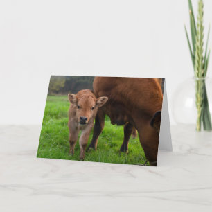 Cutest Baby Animals Cow & Calf Card