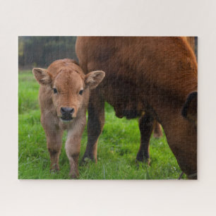 Cutest Baby Animals Cow & Calf Jigsaw Puzzle