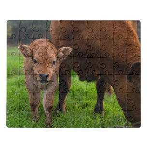 Cutest Baby Animals Cow & Calf Jigsaw Puzzle