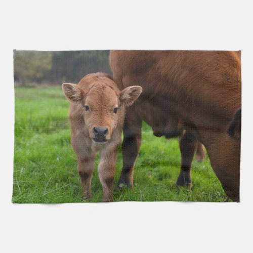 Cutest Baby Animals  Cow  Calf Kitchen Towel