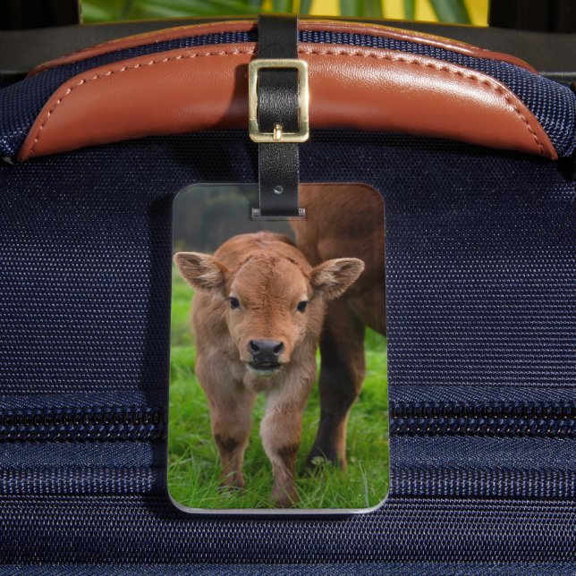 Cutest Baby Animals | Cow & Calf Luggage Tag (Front Insitu 2)