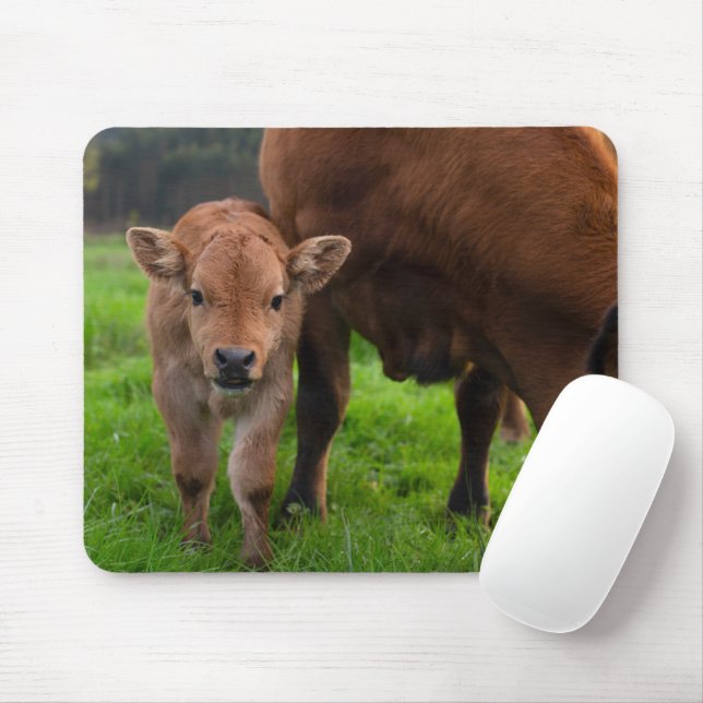 Cutest Baby Animals | Cow & Calf Mouse Pad (With Mouse)