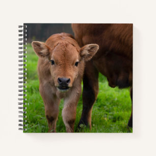 Cutest Baby Animals   Cow & Calf Notebook