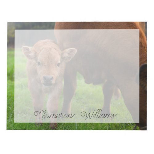 Cutest Baby Animals  Cow  Calf Notepad