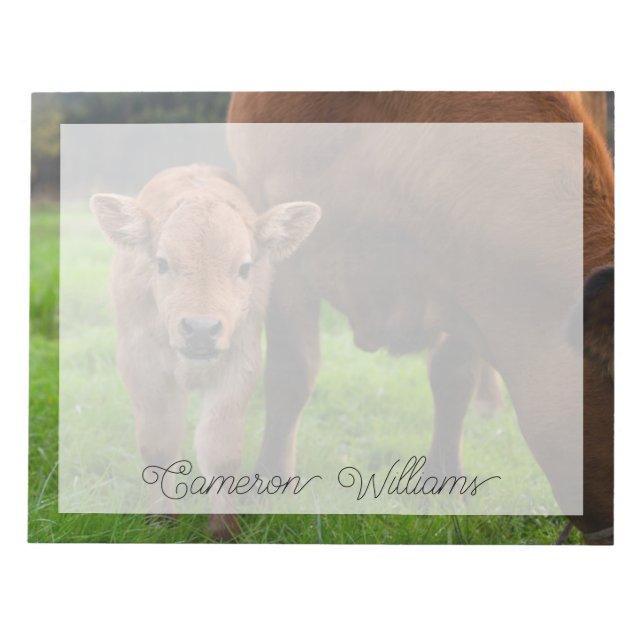 Cutest Baby Animals | Cow & Calf Notepad (Front)
