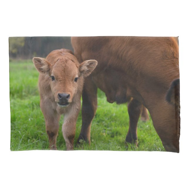 Cutest Baby Animals | Cow & Calf Pillow Case (Front)