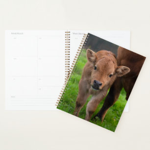 Cutest Baby Animals Cow & Calf Planner