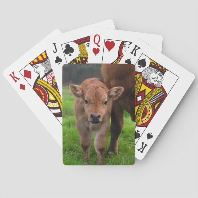 Cutest Baby Animals | Cow & Calf Poker Cards (Back)