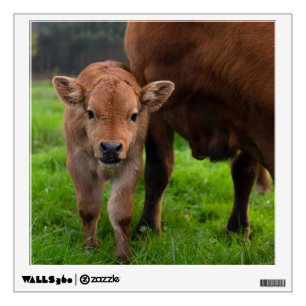 Cutest Baby Animals Cow & Calf Wall Decal