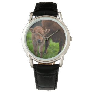 Cutest Baby Animals Cow & Calf Watch