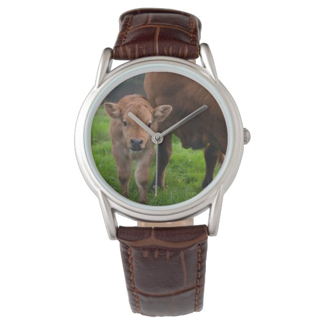 Cutest Baby Animals | Cow & Calf Watch (Front)
