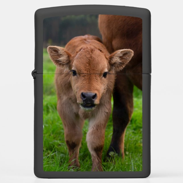 Cutest Baby Animals | Cow & Calf Zippo Lighter (Front)