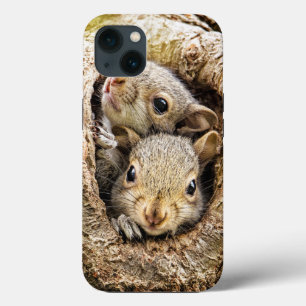 Cutest Baby Animals   Curious Baby Squirrels iPhone 13 Case