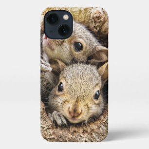 Cutest Baby Animals   Curious Baby Squirrels iPhone 13 Case