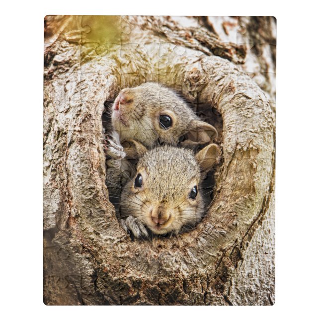 Cutest Baby Animals | Curious Baby Squirrels Jigsaw Puzzle (Puzzle Vertical)