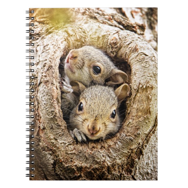 Cutest Baby Animals | Curious Baby Squirrels Notebook (Front)