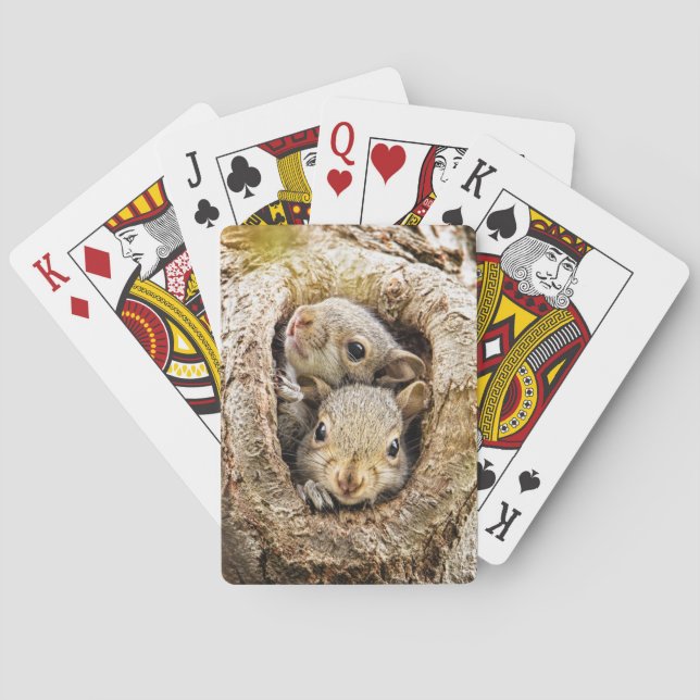 Cutest Baby Animals | Curious Baby Squirrels Poker Cards (Back)