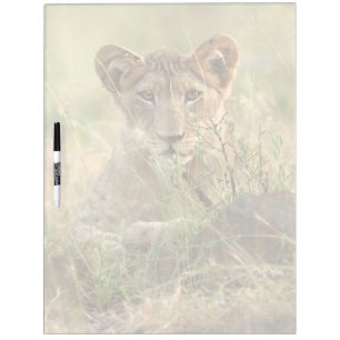 Cutest Baby Animals   Cute Baby Lion Cub Dry Erase Board