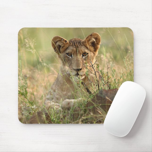 Cutest Baby Animals | Cute Baby Lion Cub Mouse Pad (With Mouse)