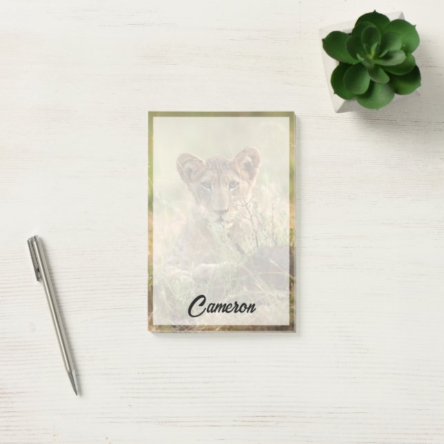 Cutest Baby Animals | Cute Baby Lion Cub Post-it Notes (Office)