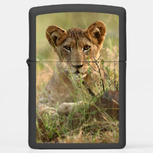 Cutest Baby Animals Cute Baby Lion Cub Zippo Lighter