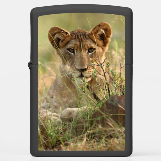 Cutest Baby Animals | Cute Baby Lion Cub Zippo Lighter (Front)