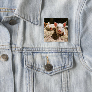 Cutest Baby Animals Cute Baby Piglet Button