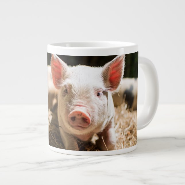 Cutest Baby Animals | Cute Baby Piglet Giant Coffee Mug (Front Right)