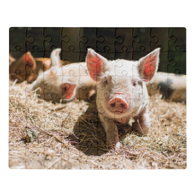 Cutest Baby Animals | Cute Baby Piglet Jigsaw Puzzle (Puzzle Horizontal)