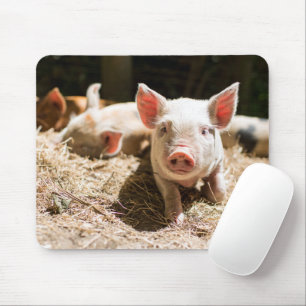 Cutest Baby Animals Cute Baby Piglet Mouse Pad