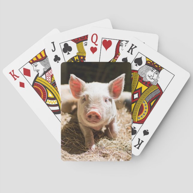 Cutest Baby Animals | Cute Baby Piglet Poker Cards (Back)