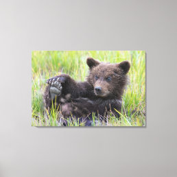 Cutest Baby Animals | Cute Brown Bear Cub Playing Canvas Print