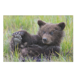 Cutest Baby Animals | Cute Brown Bear Cub Playing Faux Canvas Print