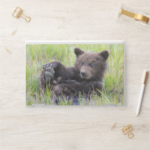 Cutest Baby Animals Cute Brown Bear Cub Playing HP Laptop Skin