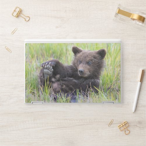 Cutest Baby Animals  Cute Brown Bear Cub Playing HP Laptop Skin