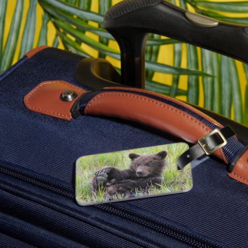 Cutest Baby Animals  Cute Brown Bear Cub Playing Luggage Tag