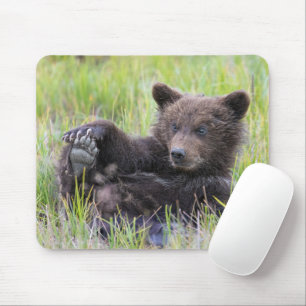Cutest Baby Animals Cute Brown Bear Cub Playing Mouse Pad