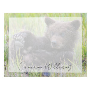 Cutest Baby Animals Cute Brown Bear Cub Playing Notepad