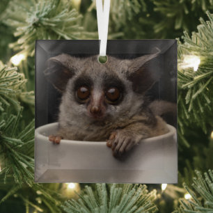 Cutest Baby Animals   Cute Bushbaby Glass Ornament
