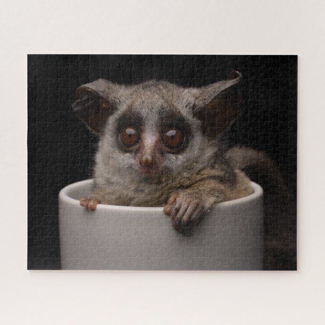 Cutest Baby Animals | Cute Bushbaby Jigsaw Puzzle (Horizontal)