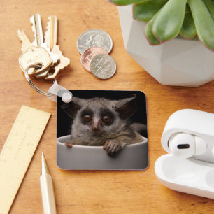 Cutest Baby Animals Cute Bushbaby Keychain