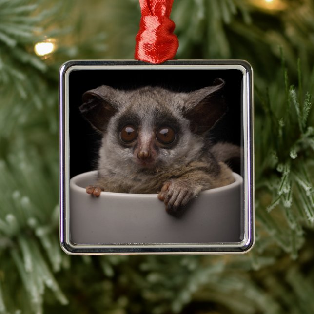 Cutest Baby Animals | Cute Bushbaby Metal Ornament (Tree)