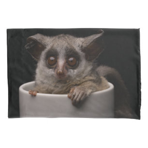 Cutest Baby Animals   Cute Bushbaby Pillow Case
