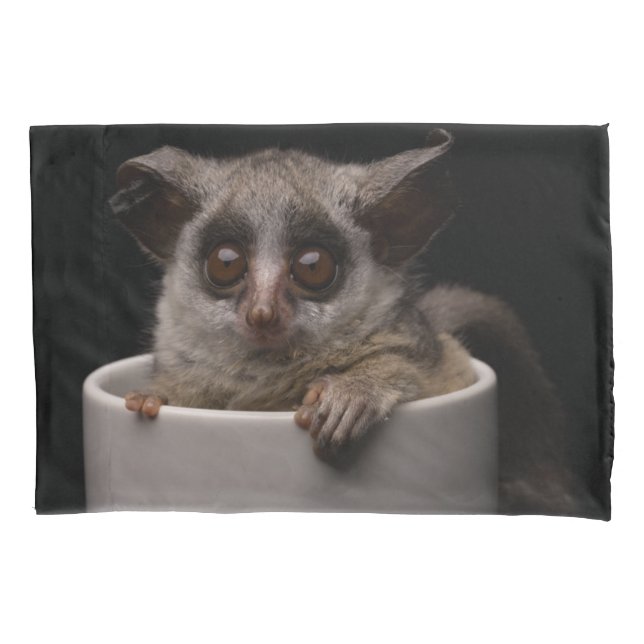 Cutest Baby Animals | Cute Bushbaby Pillow Case (Front)