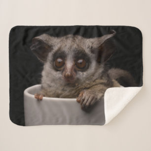 Cutest Baby Animals Cute Bushbaby Sherpa Blanket