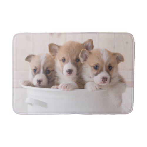Cutest Baby Animals  Cute Corgi Puppies in a Pot Bath Mat