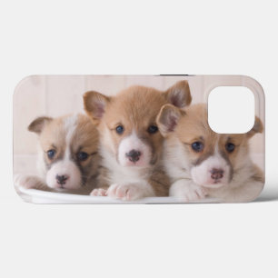 Cutest Baby Animals Cute Corgi Puppies in a Pot iPhone 13 Case